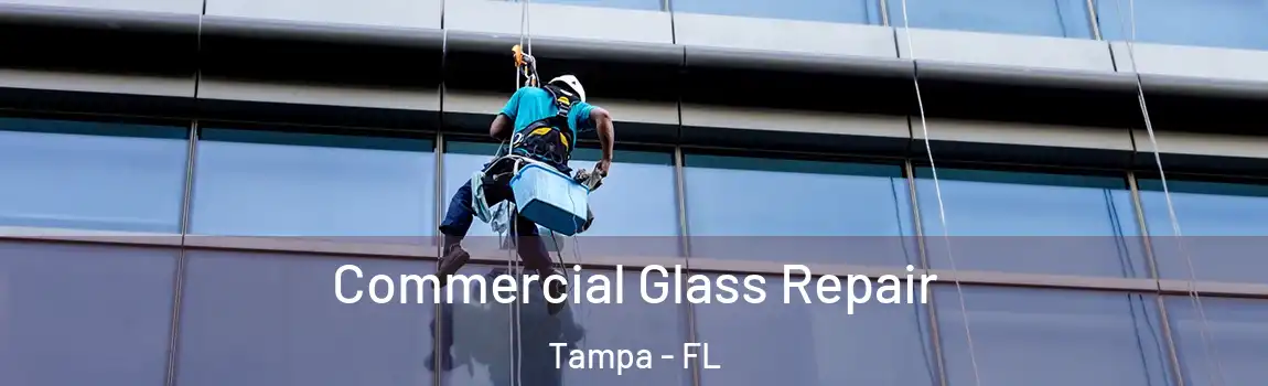 Commercial Glass Repair Tampa - FL