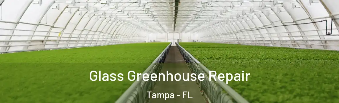 Glass Greenhouse Repair Tampa - FL