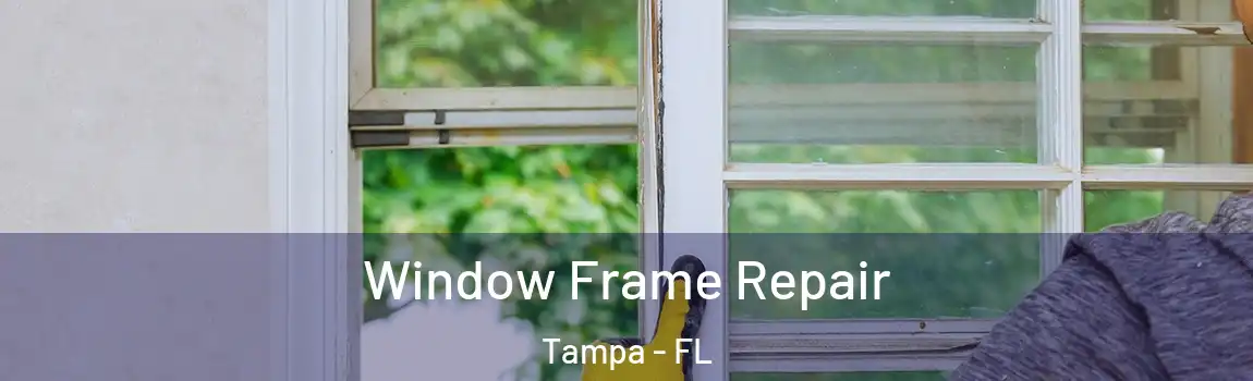 Window Frame Repair Tampa - FL