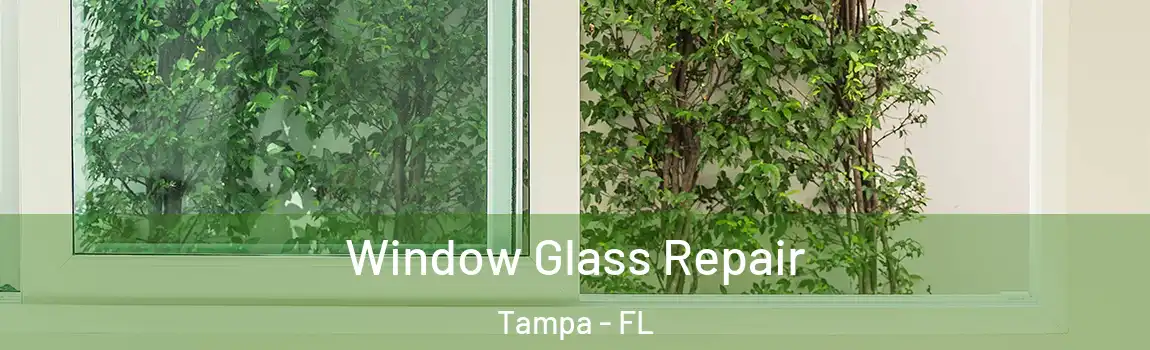 Window Glass Repair Tampa - FL