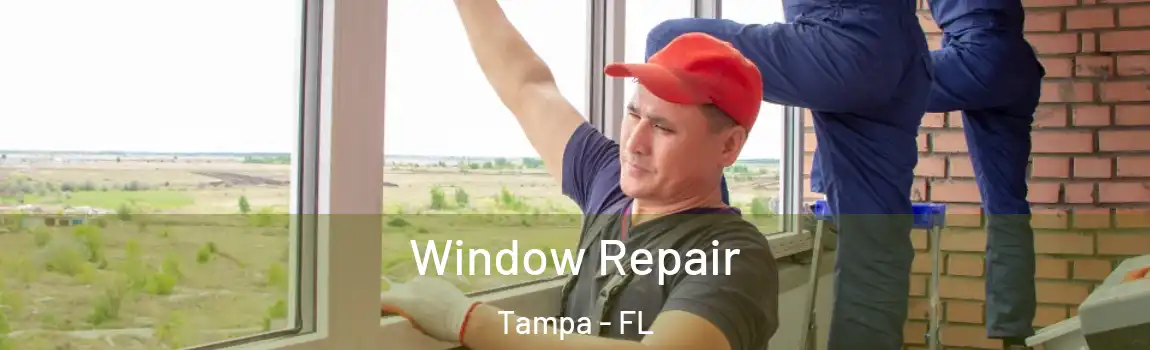  Window Repair Tampa - FL